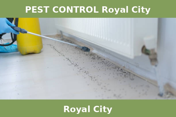 PEST CONTROL Royal City